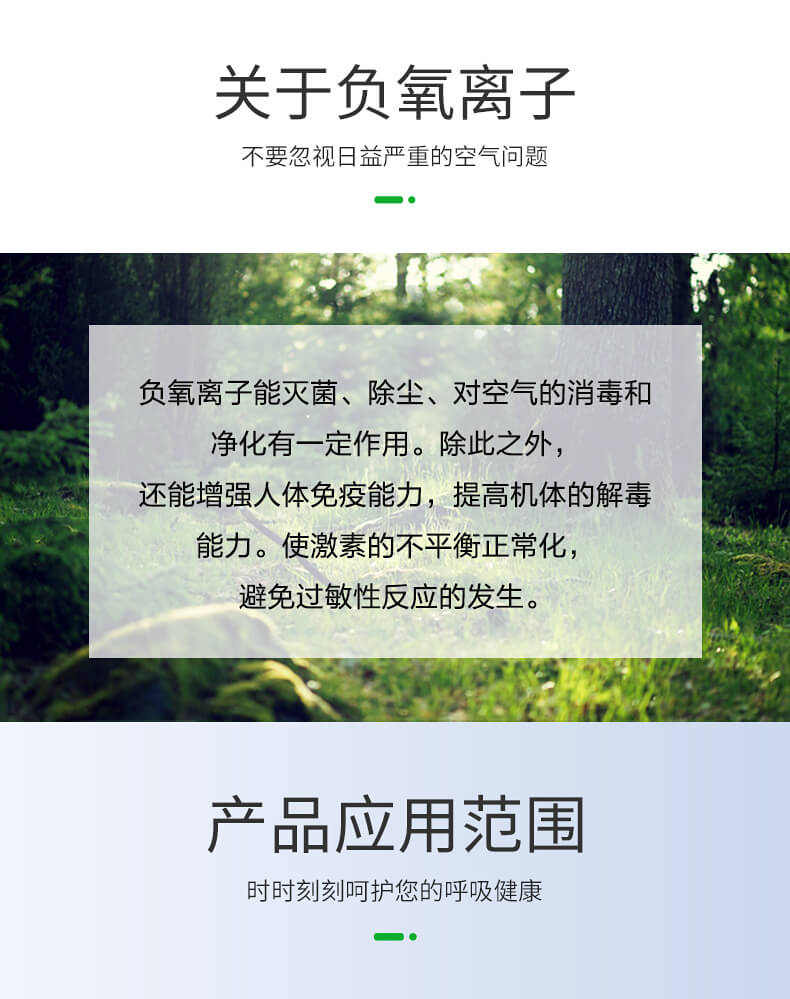 負(fù)氧離子檢測儀