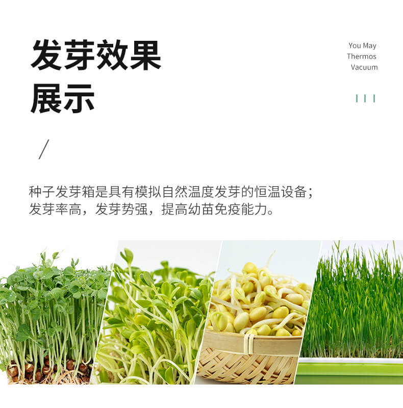 種子催芽箱