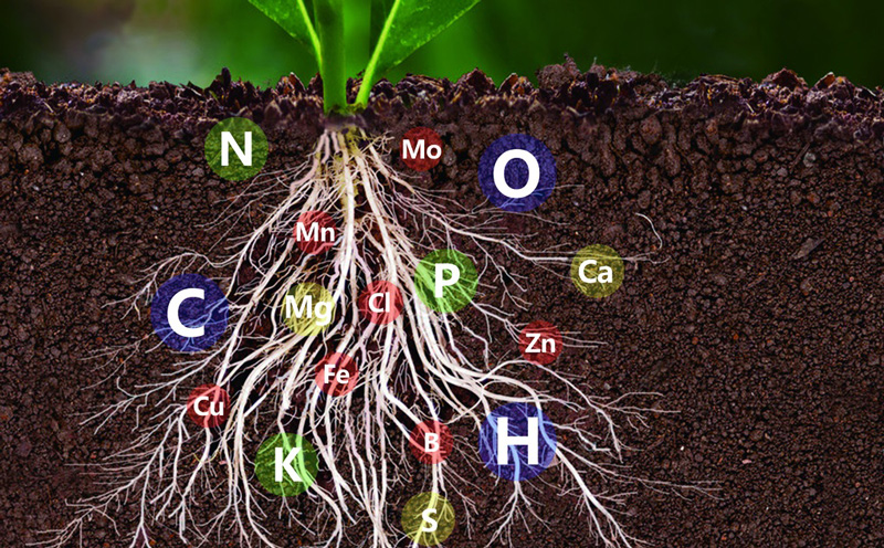 土壤中氮磷鉀含量的測定，土壤氮磷鉀檢測儀快速準(zhǔn)確
