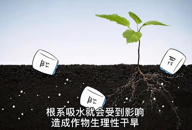 土壤EC值和pH值與作物生長的關(guān)系，利用土壤鹽分儀緩解土壤鹽漬化