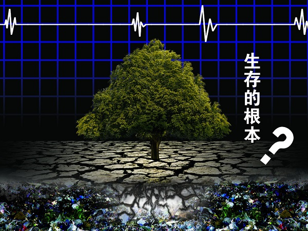 土壤重金屬嚴(yán)重超標(biāo)，土壤修復(fù)離不開土壤檢測儀